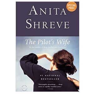 The pilots wife book